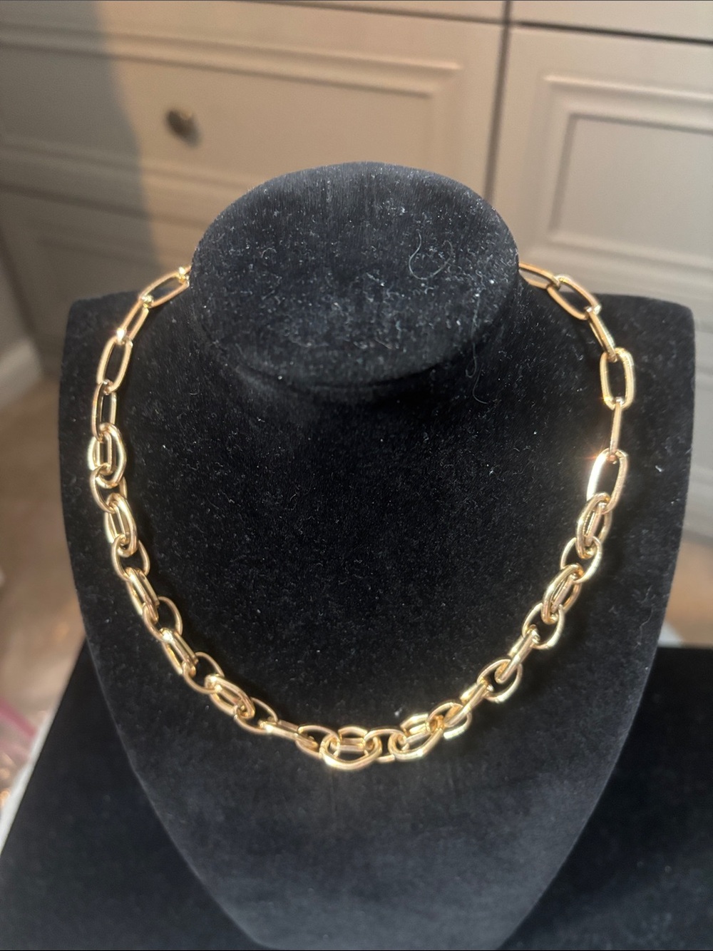Goldtone necklace with adjustable chain.